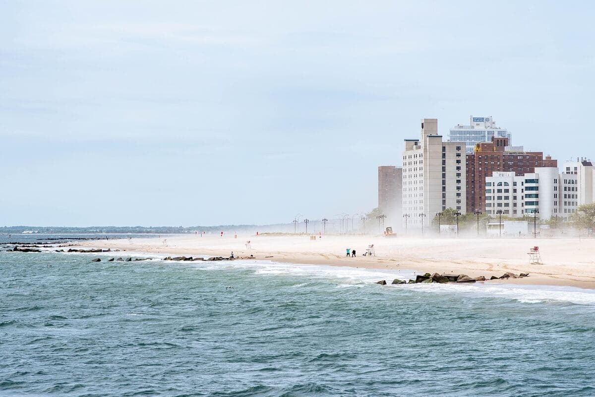 Digital marketing agency serving businesses in Coney Island