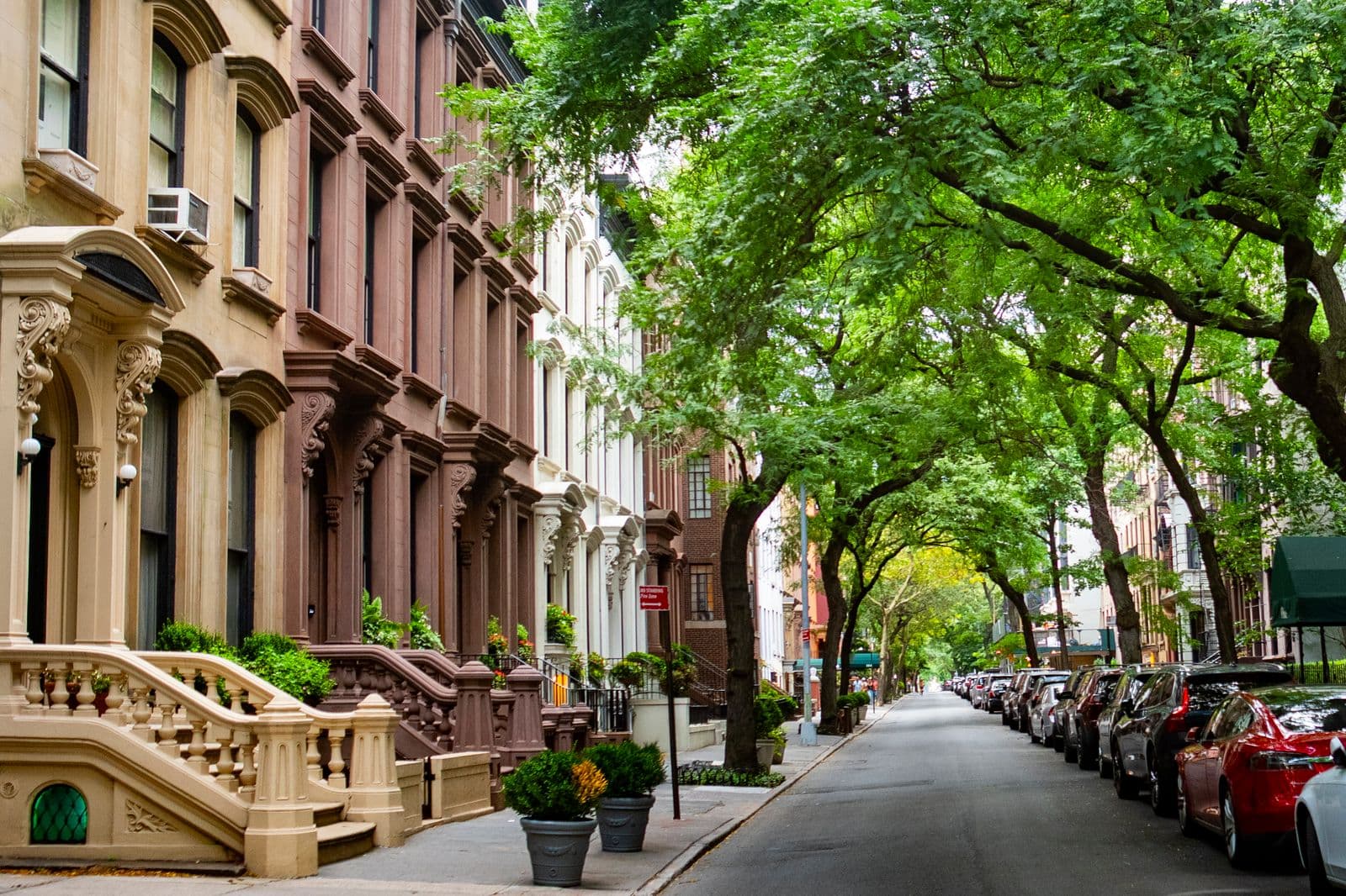 Digital marketing agency serving businesses in Crown Heights