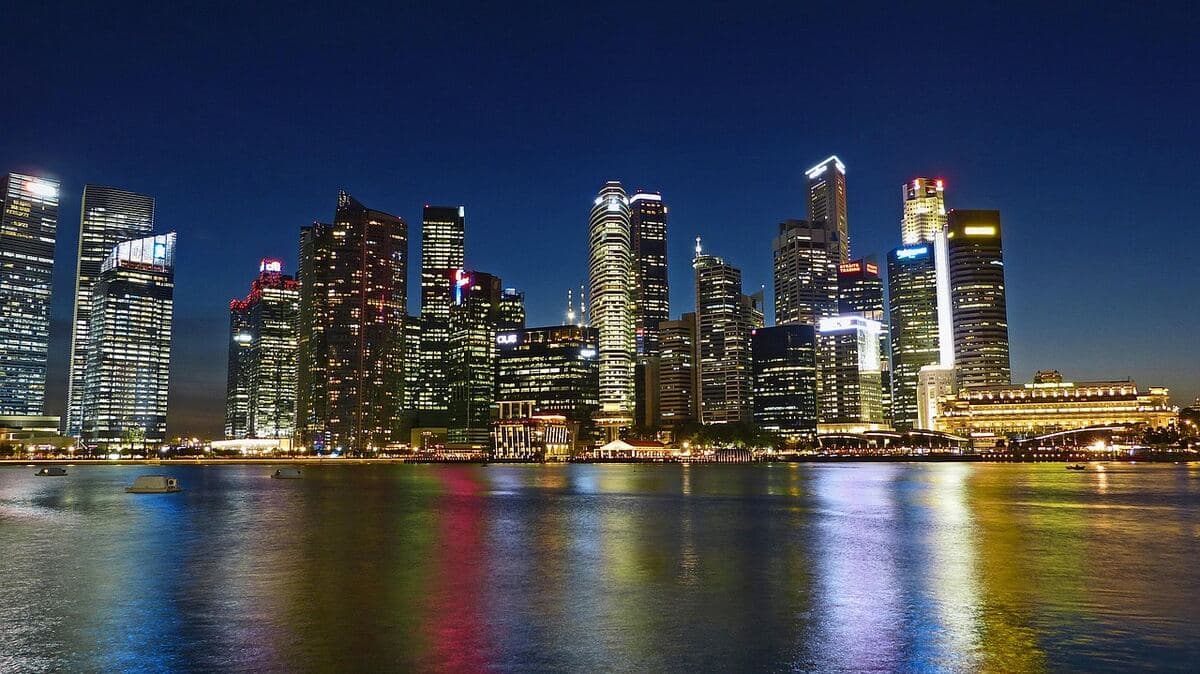 Digital marketing agency serving businesses in Tribeca