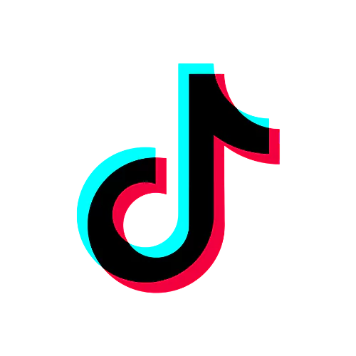 TikTok marketing platform icon